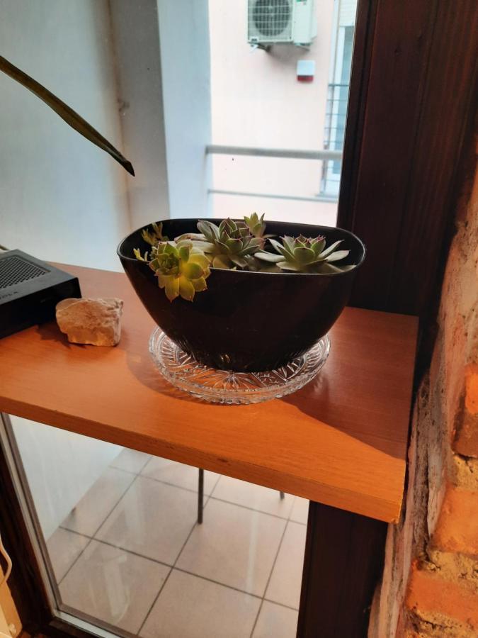Studio Apartment Apartma